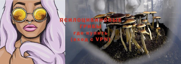дурь Алексеевка