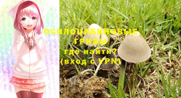 спайс Абаза
