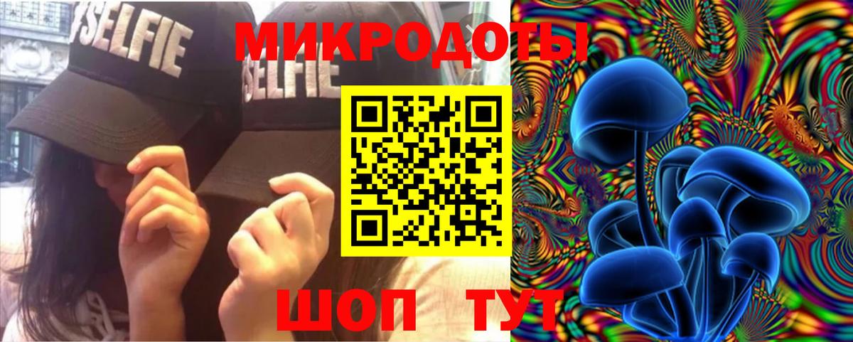 Кохма  Псилоцибиновые грибы Psilocybine cubensis  Вход с VPN  Галлюциногенные грибы ЛСД 